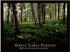 Great Lakes Forests: Preserve them unimpaired for future generations
