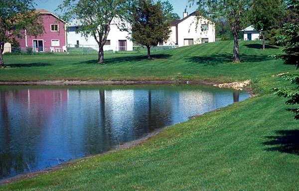 Lawn to Shoreline