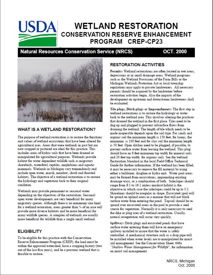 Wetland Restoration