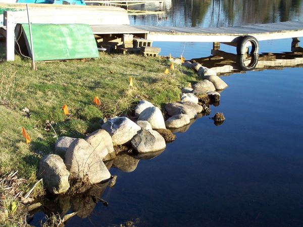 Shoreline in Oakland County - Before Photo