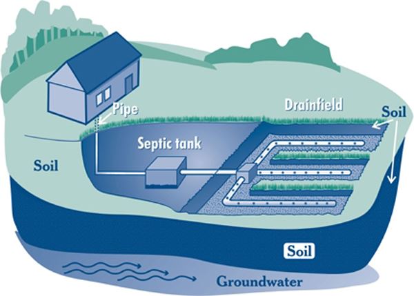 Shoreline Septic System diagram