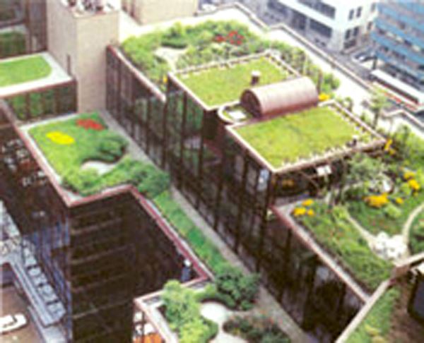 Drawing of roof top gardens