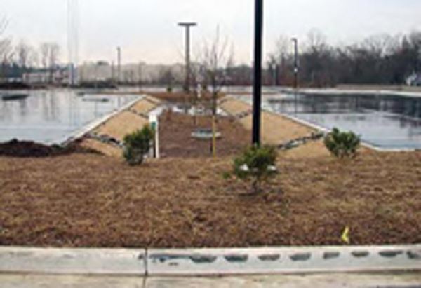 Meadow planting near storm water retention wells
