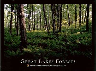 Great Lakes Forests: Preserve them unimpaired for future generations