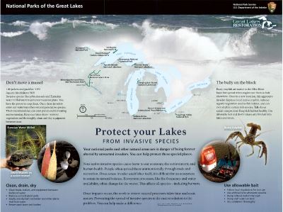 Protect Your Lakes From Invasive Species