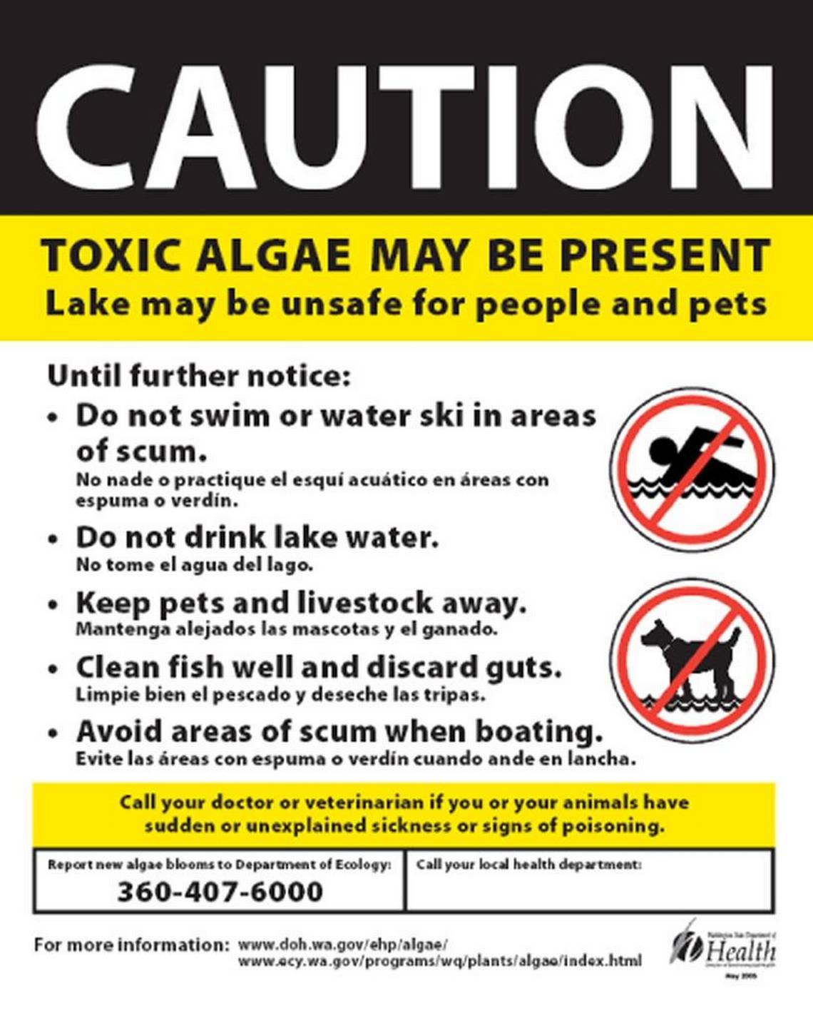 Toxic Algae