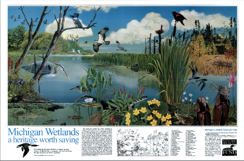wetlands