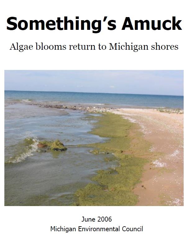 algae in lake michigan