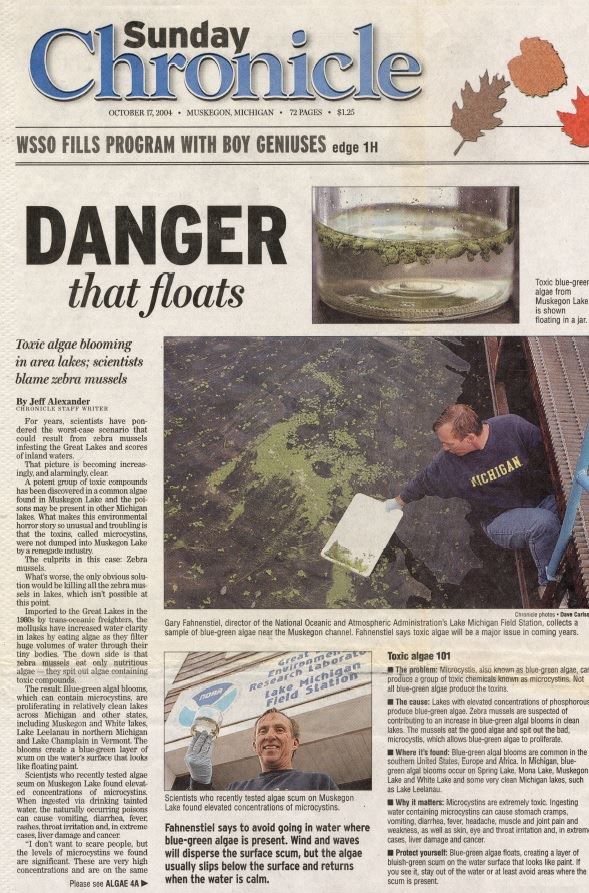 Blue Green Algae Muskegon Chronicle